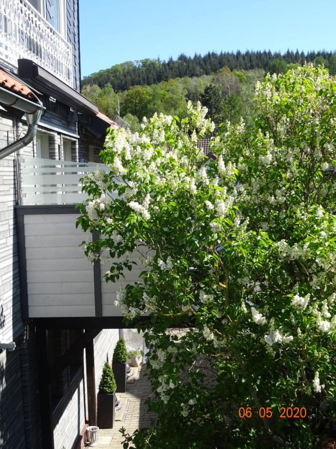 Fewo Hage Langelsheim Dış mekan fotoğraf