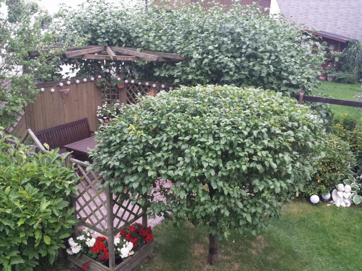 Fewo Hage Langelsheim Dış mekan fotoğraf