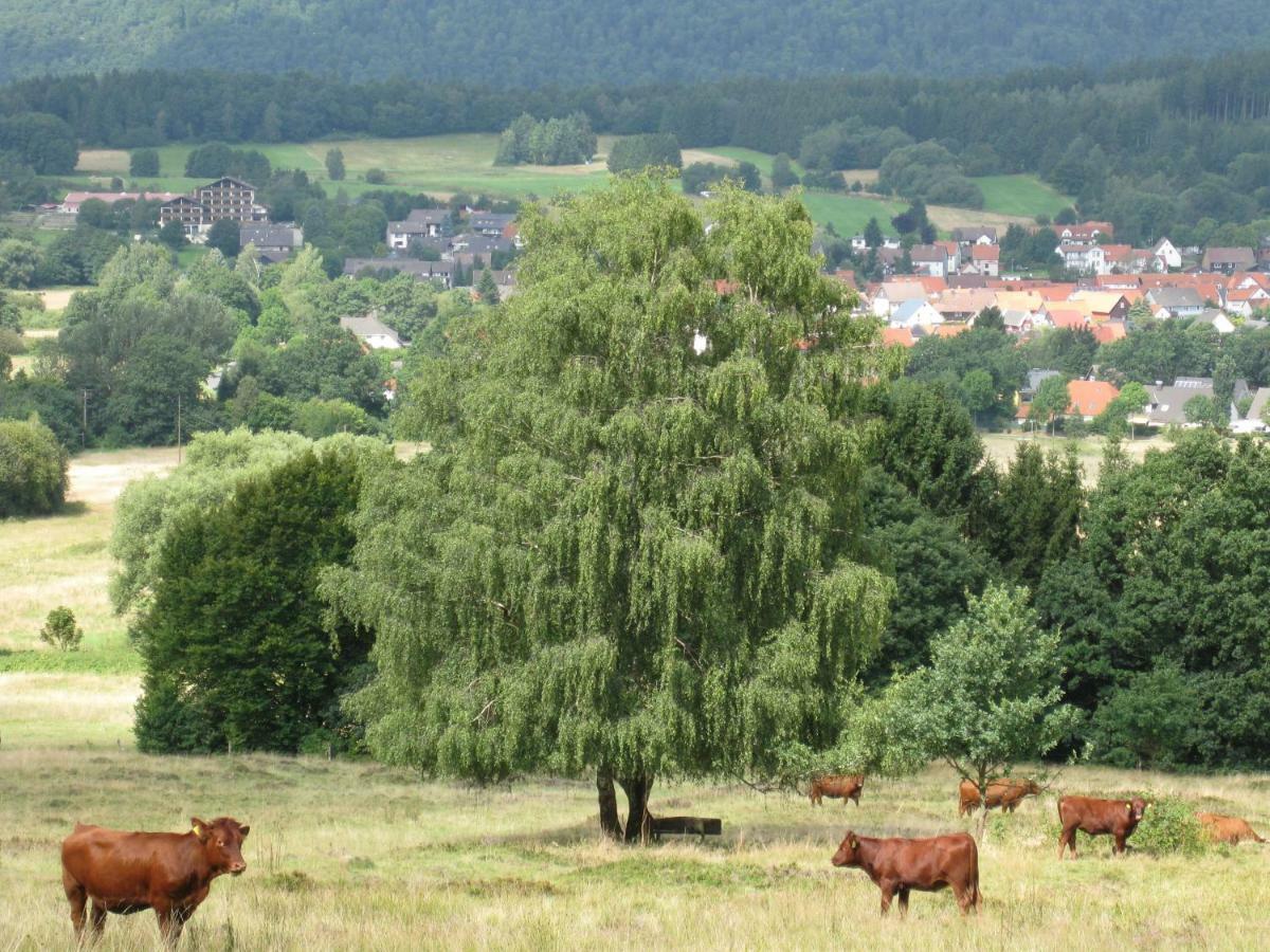 Fewo Hage Langelsheim Dış mekan fotoğraf