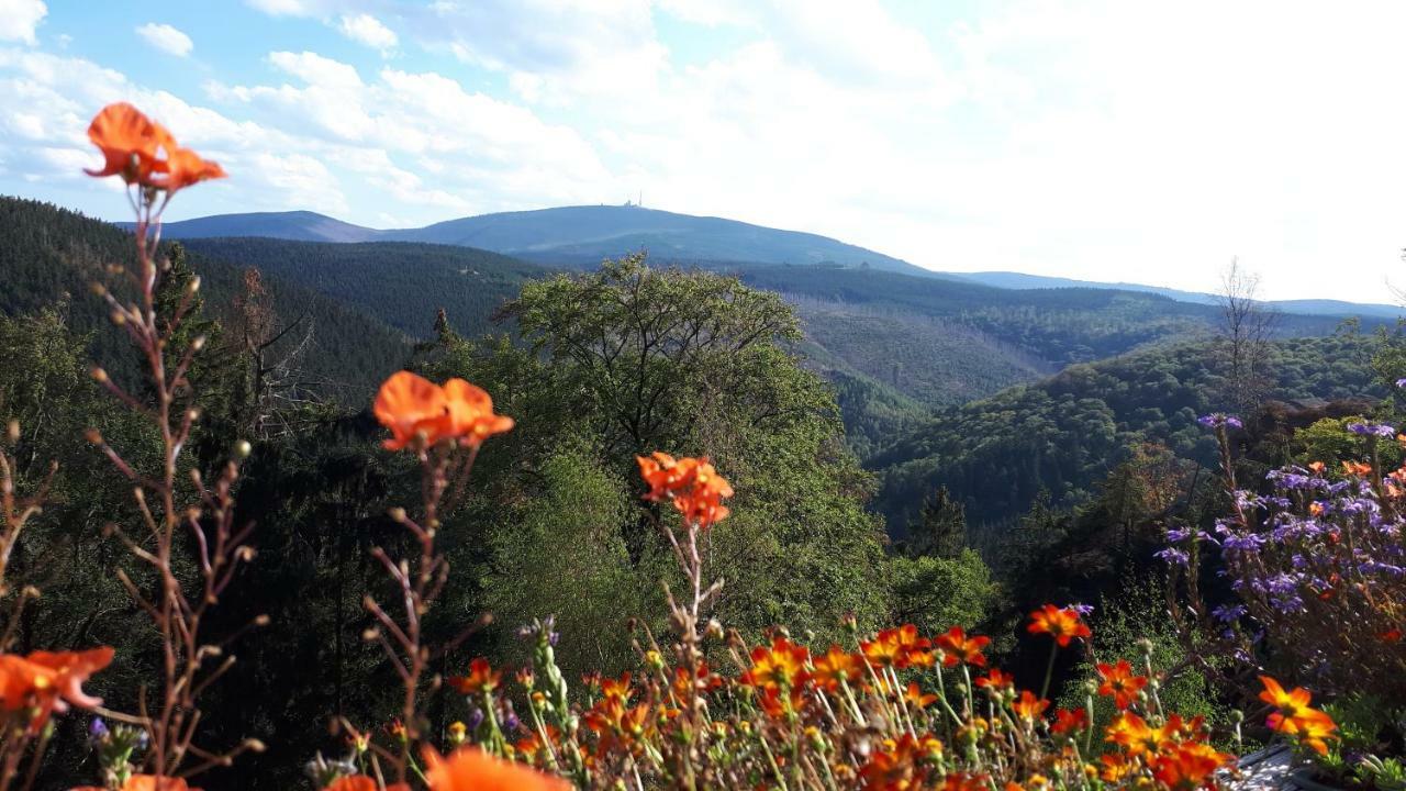 Fewo Hage Langelsheim Dış mekan fotoğraf